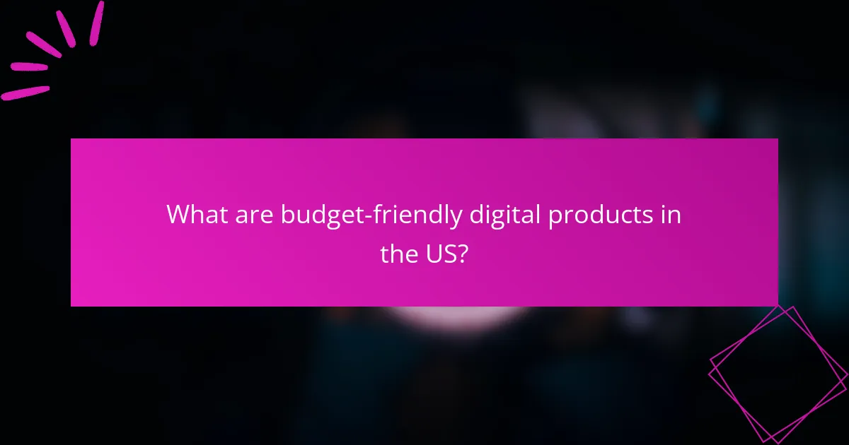 What are budget-friendly digital products in the US?
