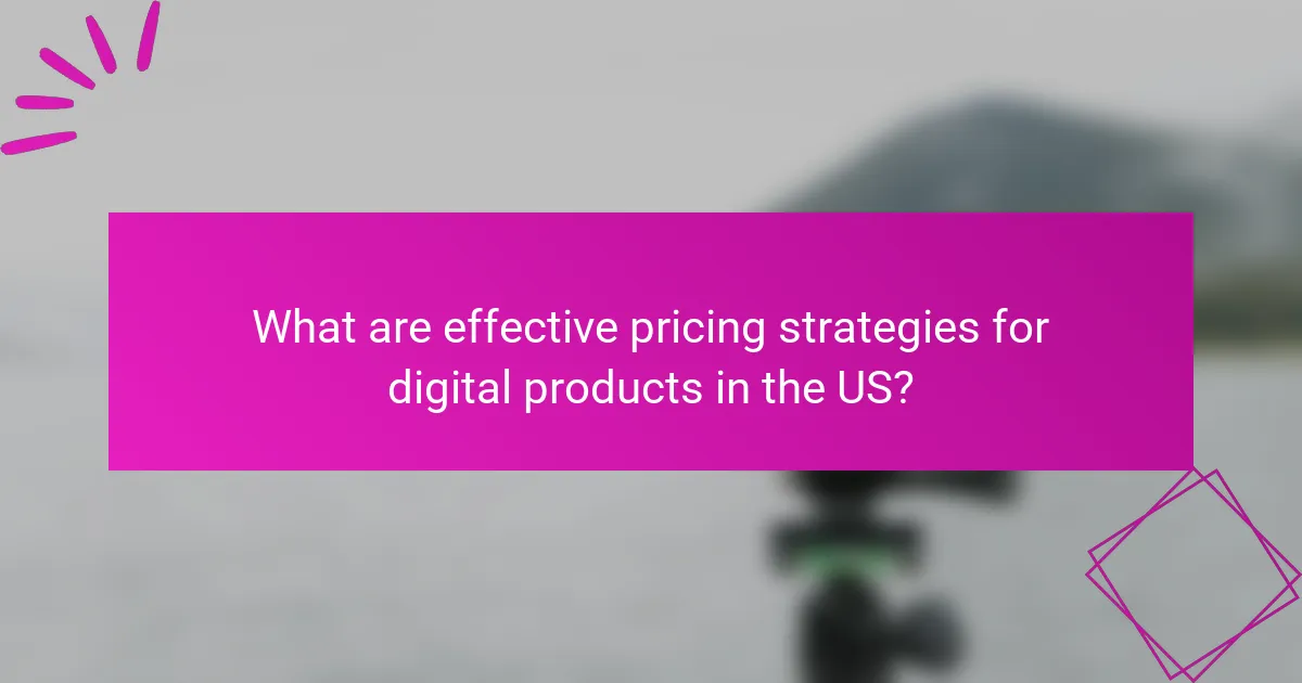 What are effective pricing strategies for digital products in the US?